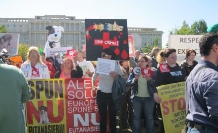 Ziua Internationala a Animalelor celebrata prin ... UCIDERE!