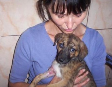 Ica, un catel mic ce nu putea merge